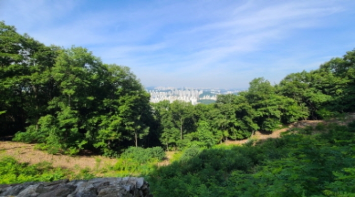 2024타경72058
