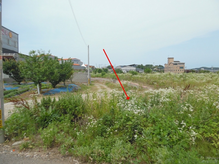 기호(4)