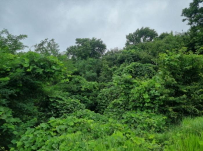 전경(3)