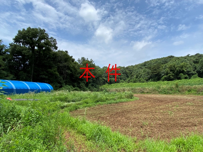 본건전경