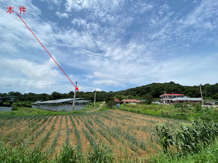 주변전경