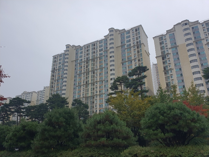 2024타경91882