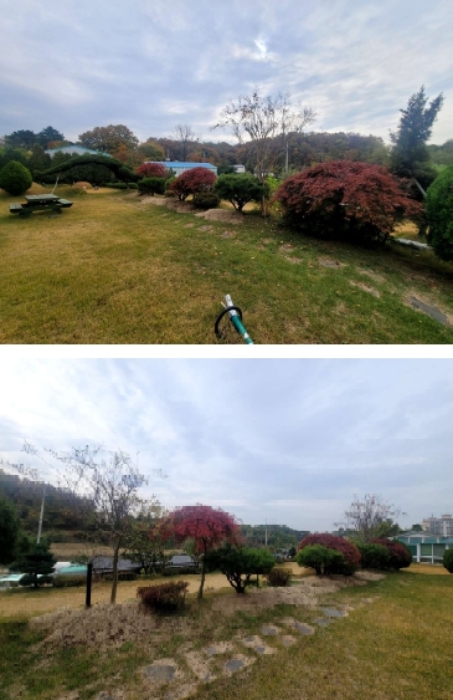 제시외(조경수 및 조경석)
