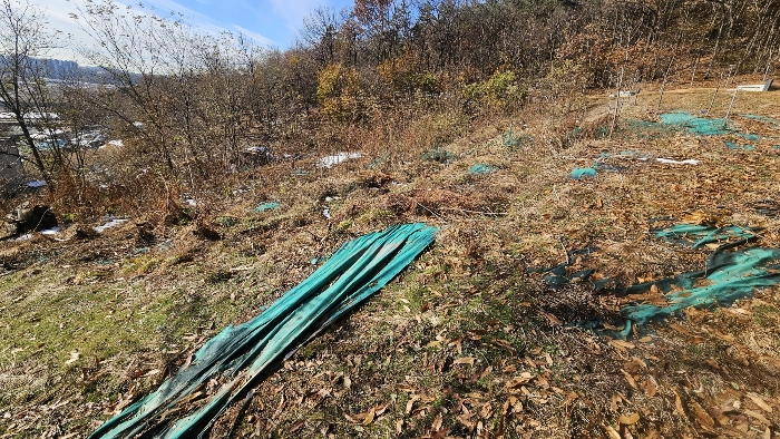본건 전경(동측에서)