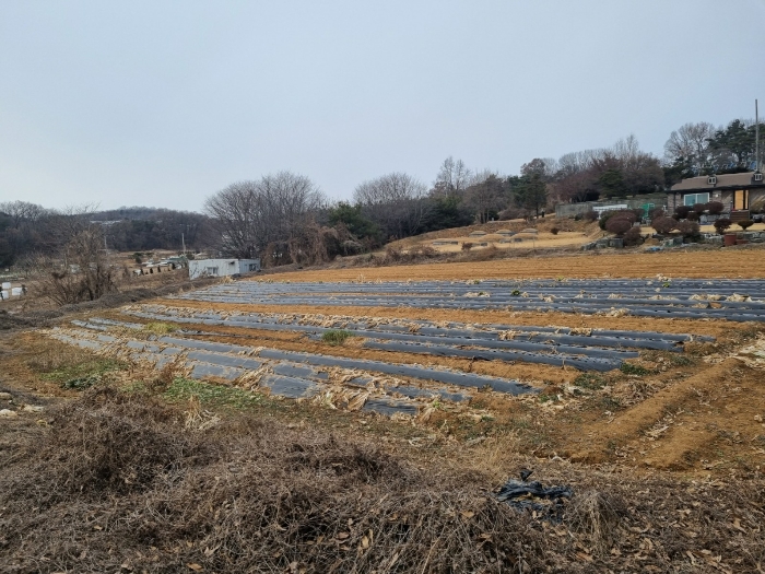 본건 기호(1) 남동측에서 촬영