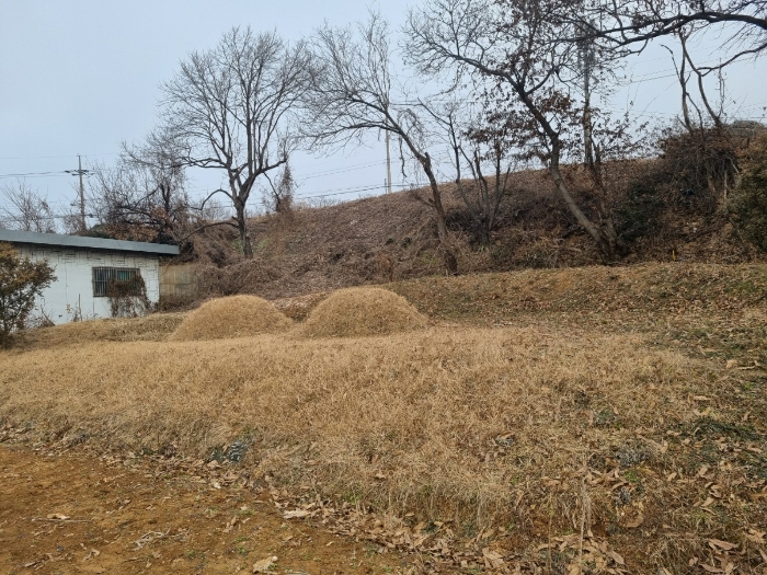 본건 기호(4) 토지 지상 소유자 미상의 분묘