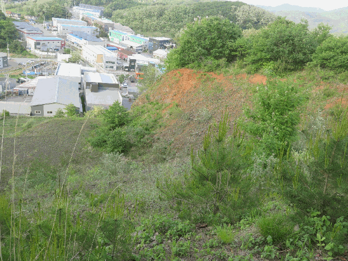 본건전경(본건 남서측 정상부분에서 촬영)