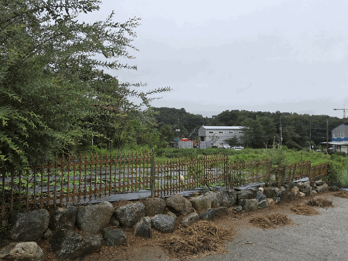 송정리 139 전 측면 사진