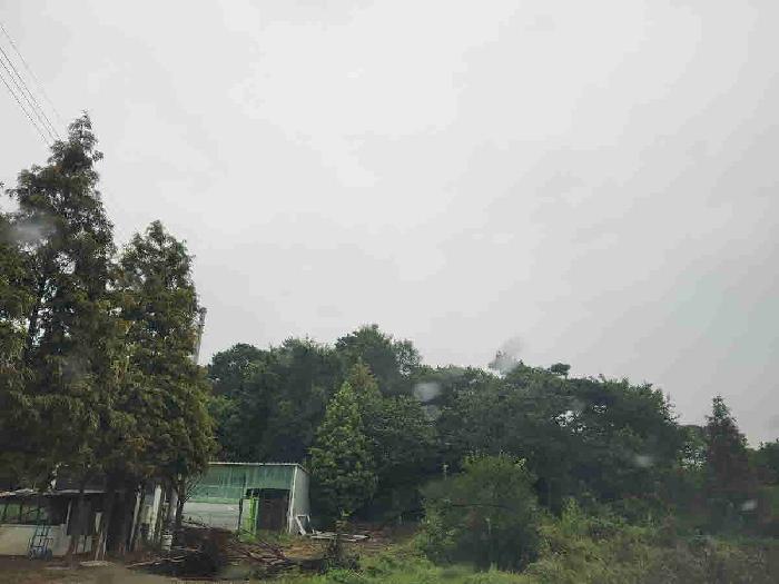 목록2.현황