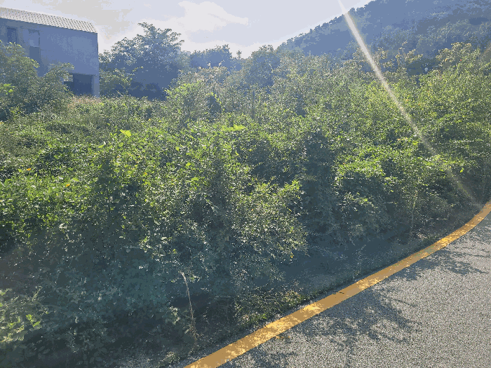 본건전경
