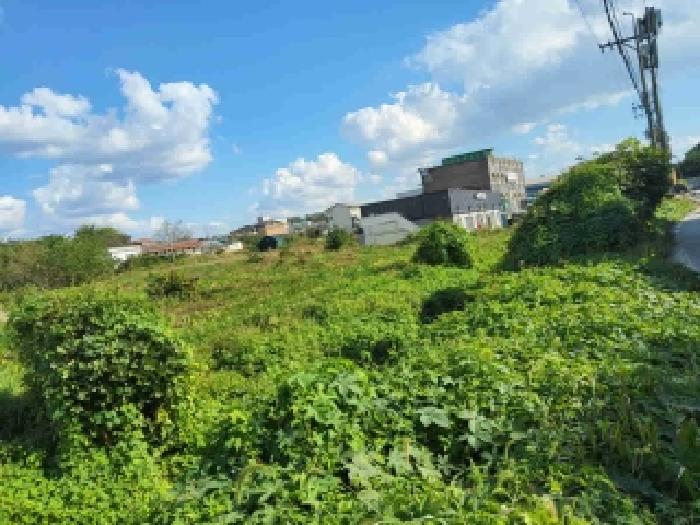 목록2.현황