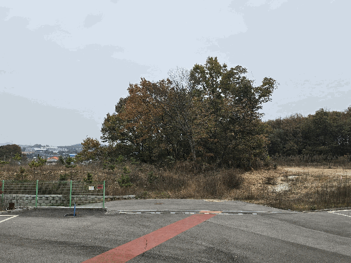 기호2 본건 (서측 인근)