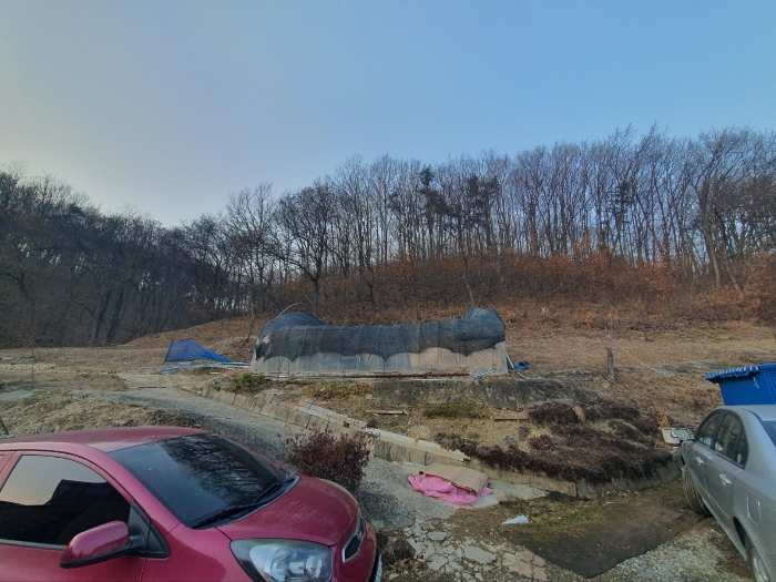 본건 기호(3) 제시 외 비닐하우스