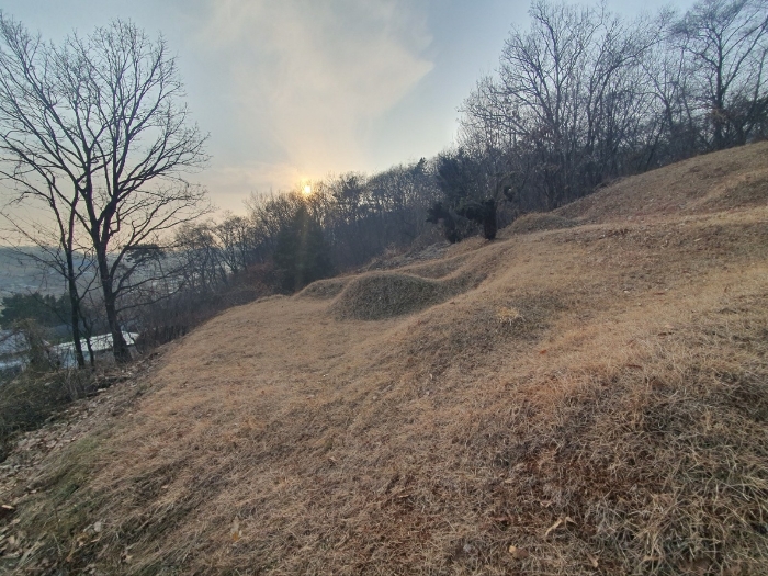 본건 기호(3) 제시 외 분묘