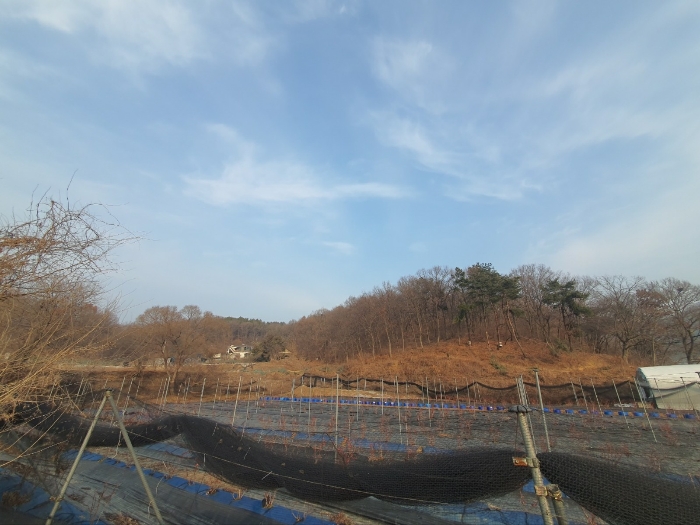 본건 기호(2) 전경