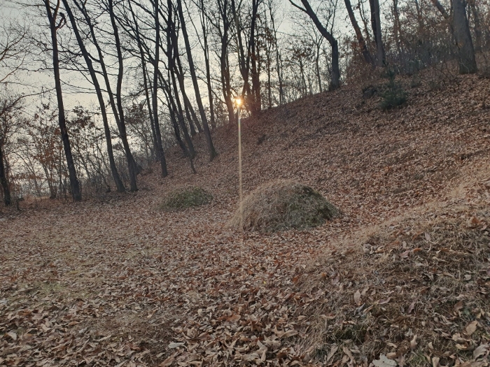 본건 기호(3) 제시 외 분묘