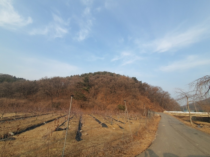 본건 기호(4) 전경