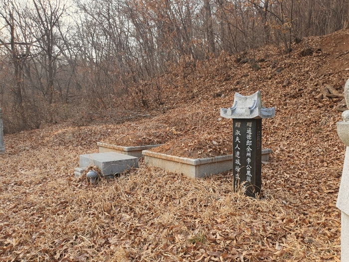 본건 기호(3) 제시 외 분묘