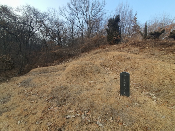 본건 기호(3) 제시 외 분묘