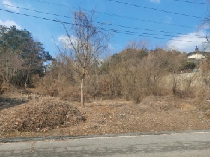 본건 전경(1)
