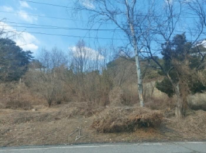 본건 전경(3)