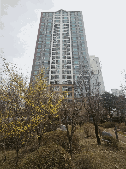 2025타경55025