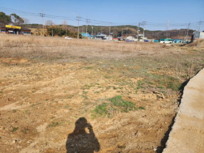 해당 토지(답) 전경(2)