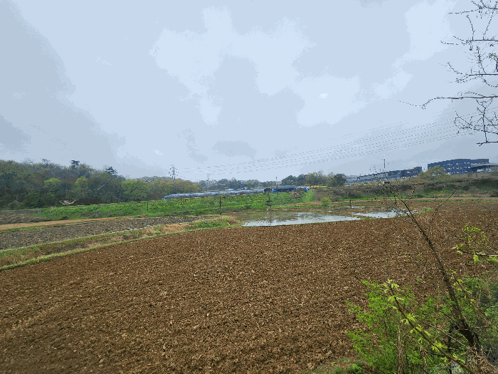본건전경