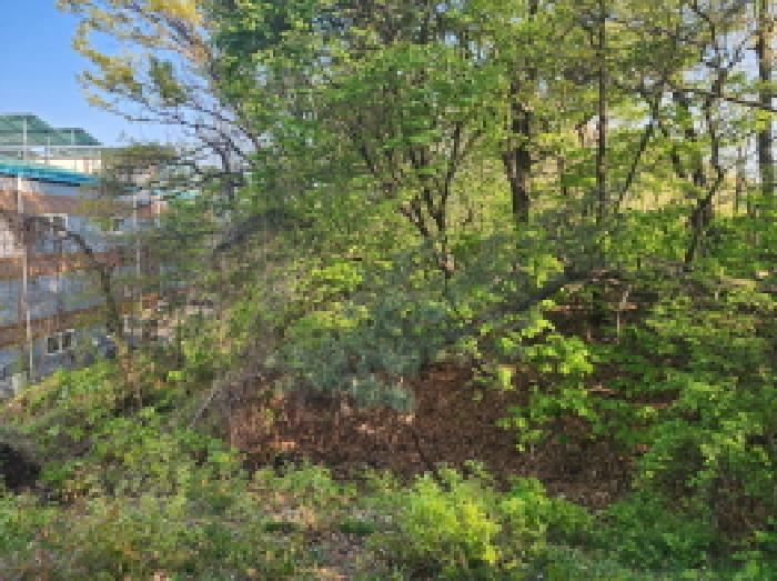 목록 4. 부동산 전경(1)