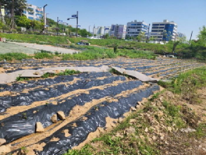 해당 대지 외관 전경(2)