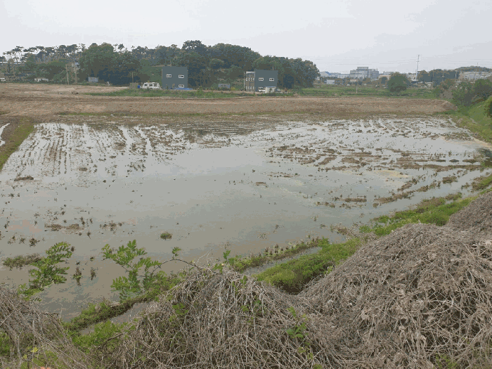 본 건 전경
(남동측에서 촬영)