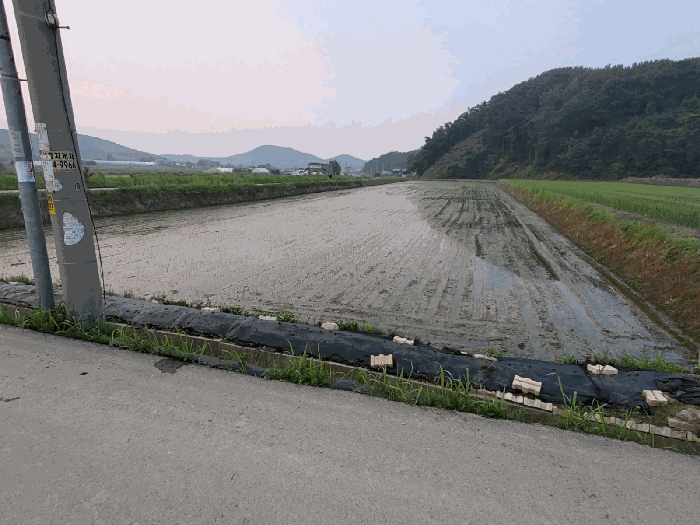 본건 전경