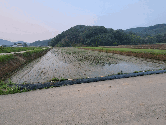 본건 전경