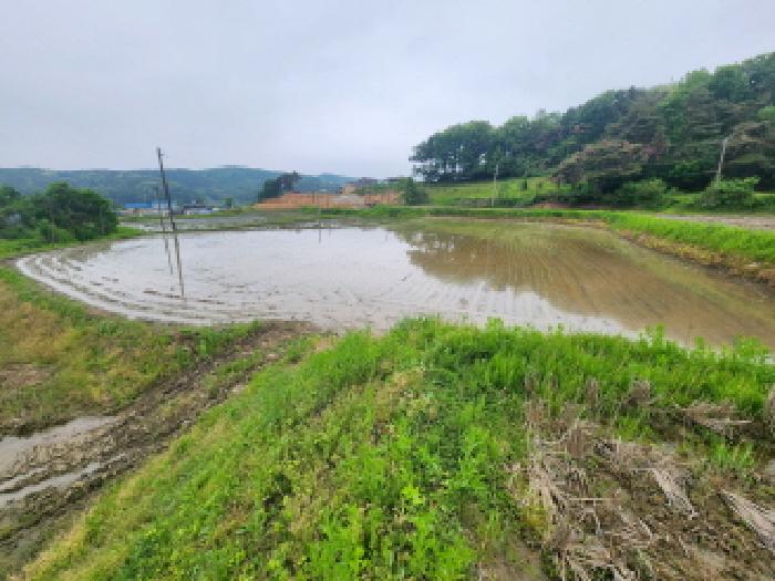 해당 논의 전경(1)