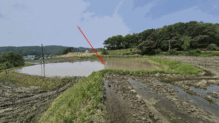 본건 전경