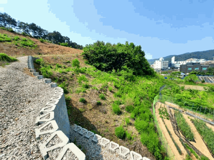 2025타경55977