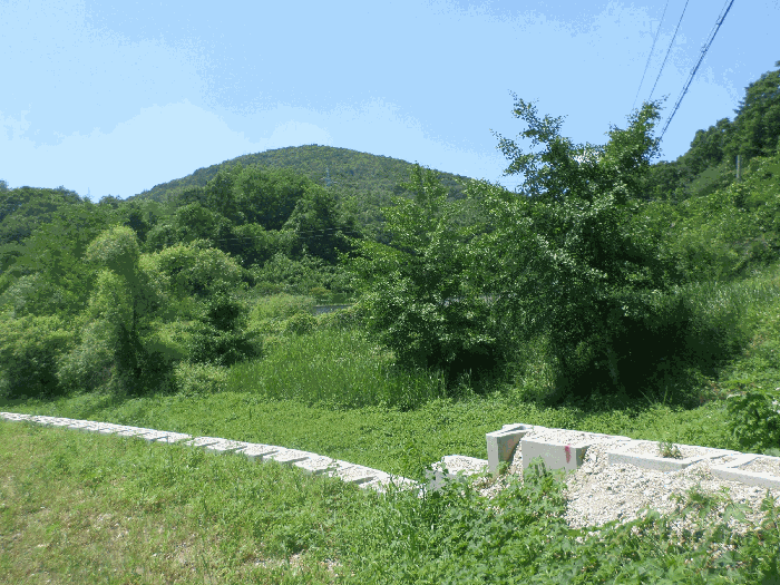 본건토지(남동측에서 촬영)