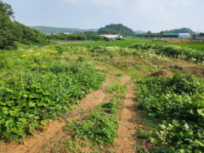 목록 1. 밭의 외관 전경