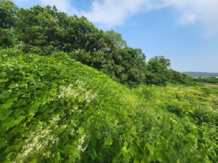목록 2. 임야 전경(1)
