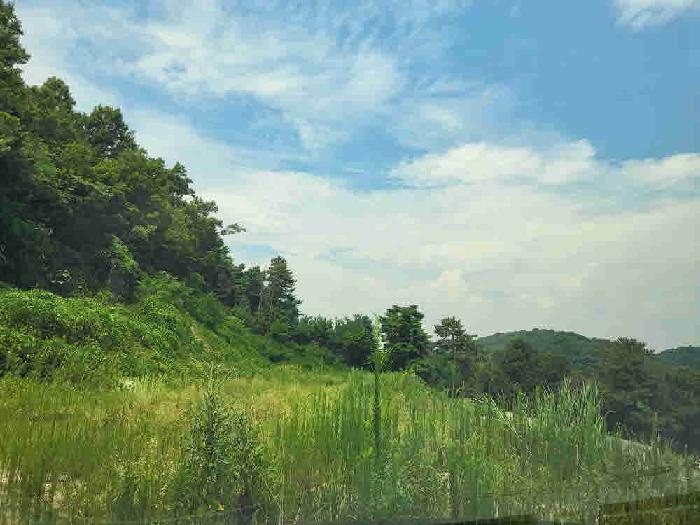 목록1.현황