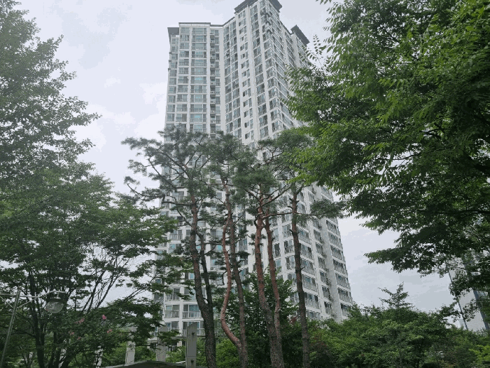 본건 남동측에서 촬영