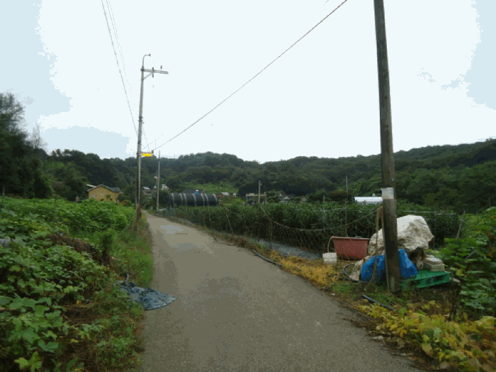 본건 전경