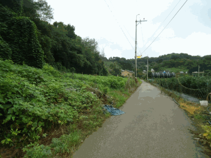 본건 지상에 개설된 도로 상황