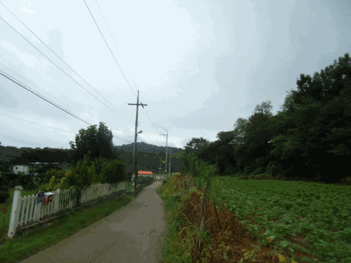 주변 상황