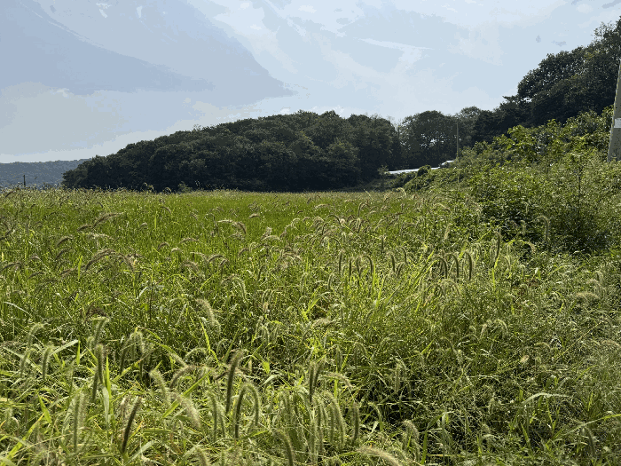 기호(2) 동측 '답'부분