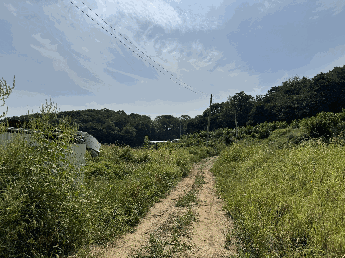 기호(1) 북측 촬영