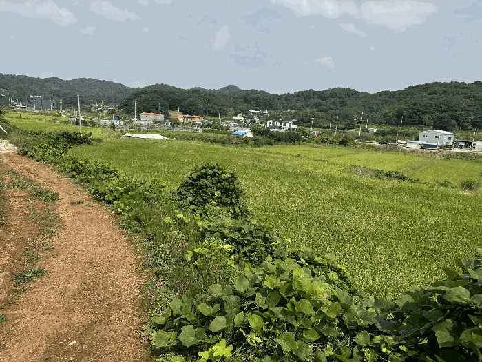 기호(1)토지 남측