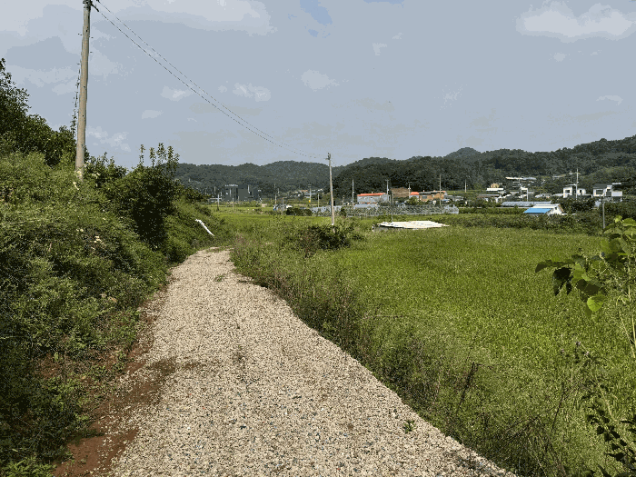 기호(1) 남측 촬영