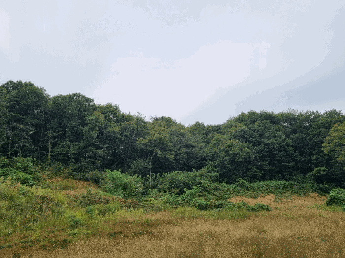 본건 기호(2) 동측에서 촬영