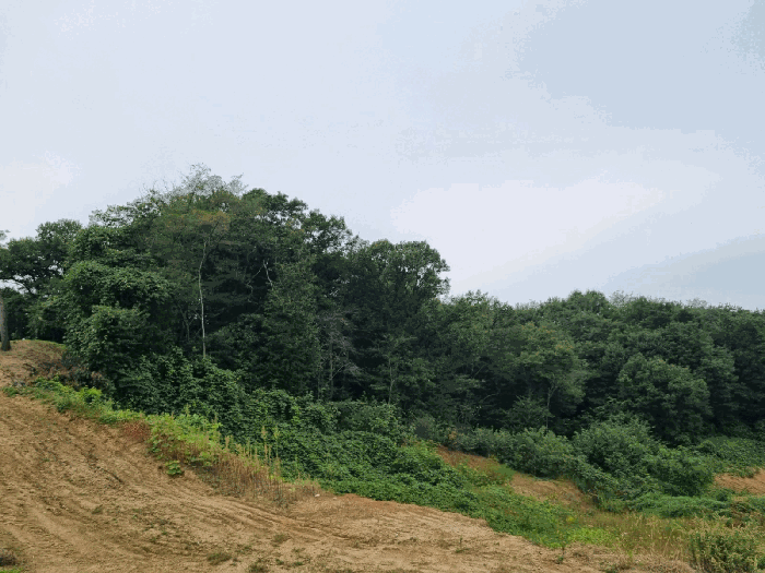 본건 기호(2) 남측에서 촬영